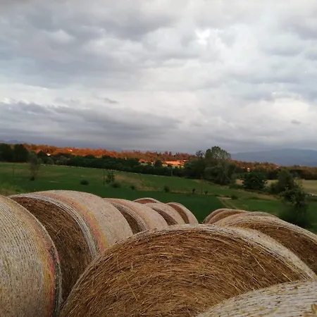 Il Podere Della Piazza Panzió 3*