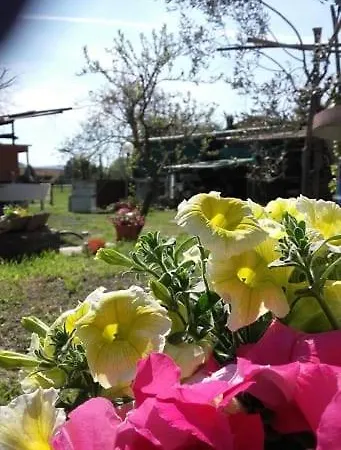 Il Podere Della Piazza Oda ve Kahvaltı Scarperia