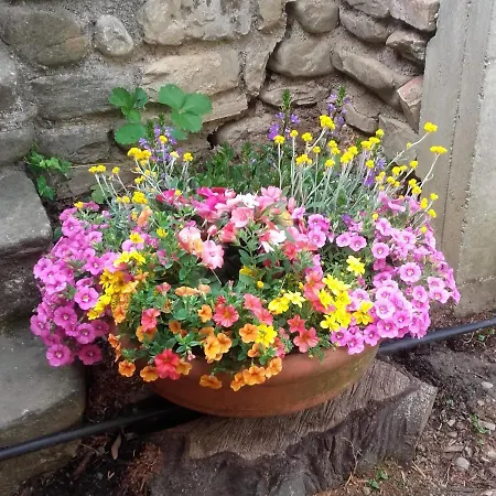 Bed & Breakfast Il Podere Della Piazza Scarperia