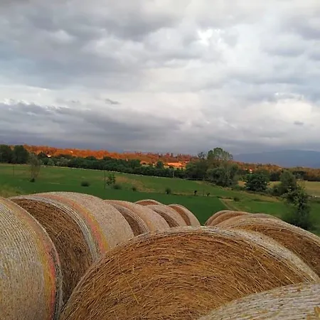 Il Podere Della Piazza 3*