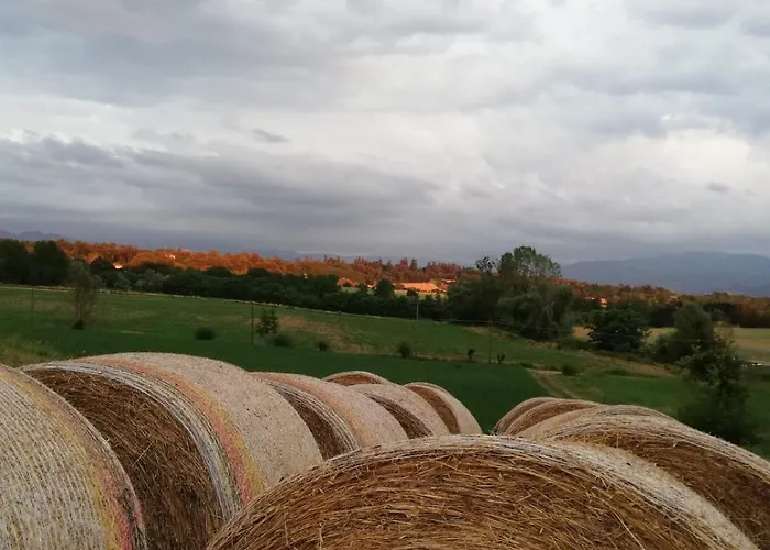 Il Podere Della Piazza Alojamento de Acomodação e Pequeno-almoço 3*